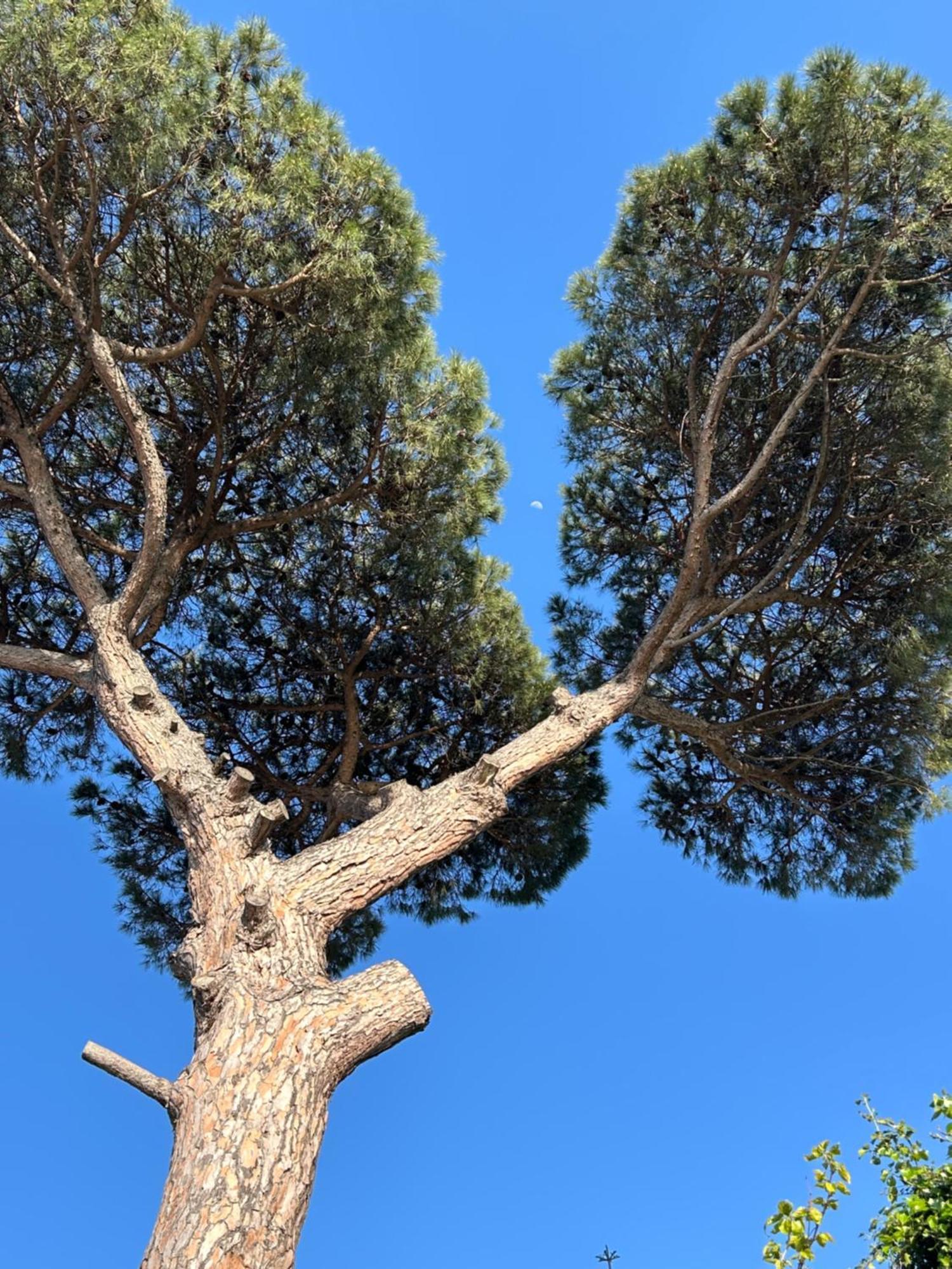 ויקו אקוונסה L'Antica Pigna Chateau מראה חיצוני תמונה